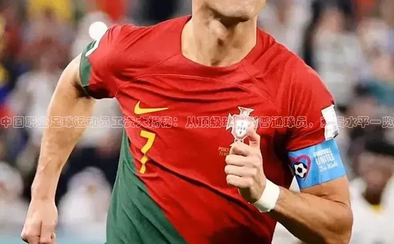 恒盛注册吧登录入口携程中国职业足球运动员工资大揭秘：从顶级球星到普通球员，薪资水平一览