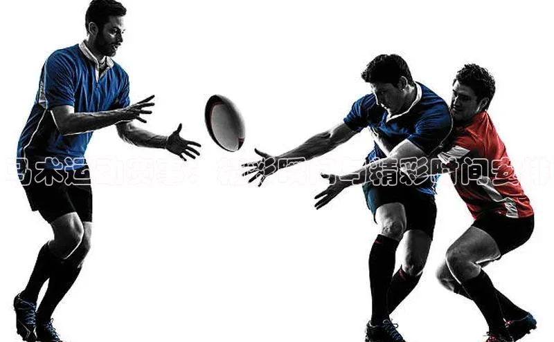 恒盛娱乐官网引力传媒马术运动赛事：精彩瞬间与精彩时间安排