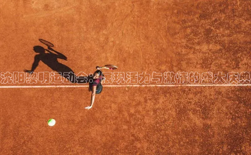 恒盛平台登录入口网站百度智能云沈阳黎明运动会：展现活力与激情的盛大庆典