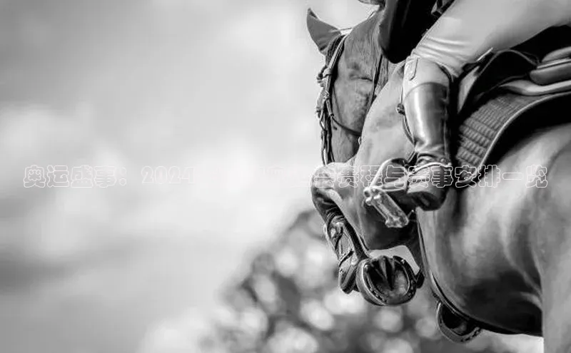 恒盛娱乐登录哇咔哇咔文化奥运盛事：2024年巴黎奥运会赛程与赛事安排一览