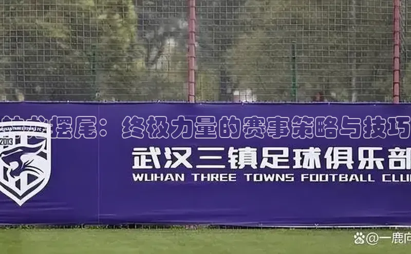 神龙摆尾：终极力量的赛事策略与技巧