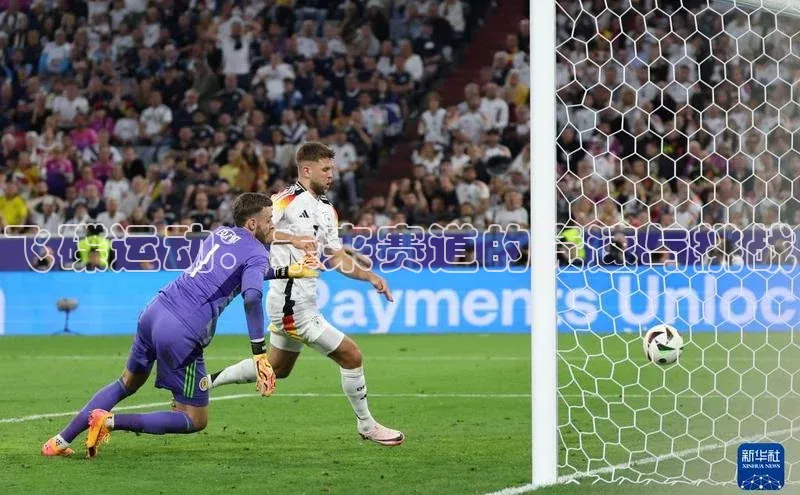 飞碟运动：未来赛道的竞速与挑战