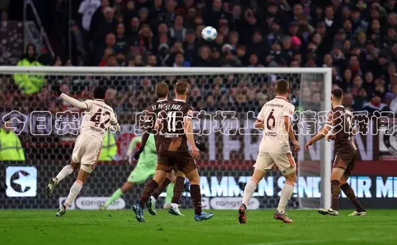 今日赛事：奥运动场上的精彩瞬间