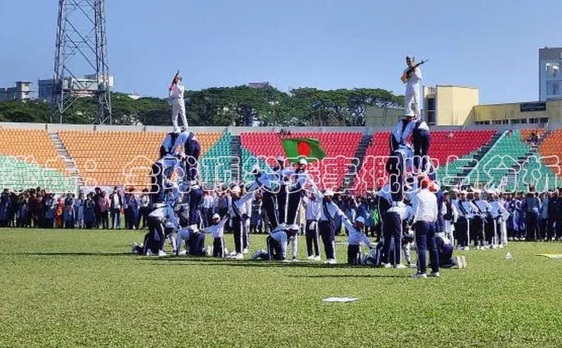 拳击：全球顶尖赛事概览与分析