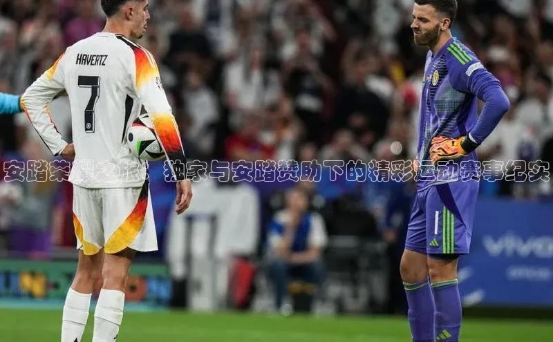 安踏荣耀之旅：独家与安踏赞助下的精彩运动赛事纪实