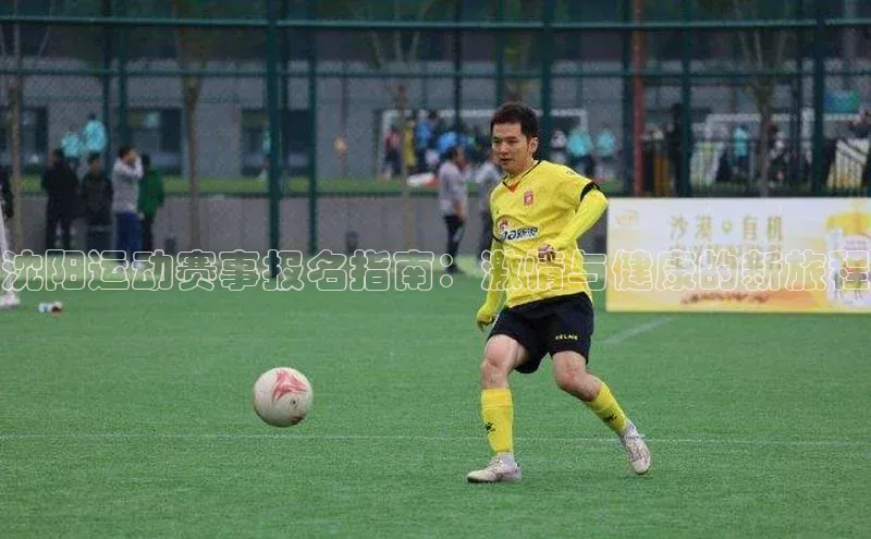 沈阳运动赛事报名指南：激情与健康的新旅程