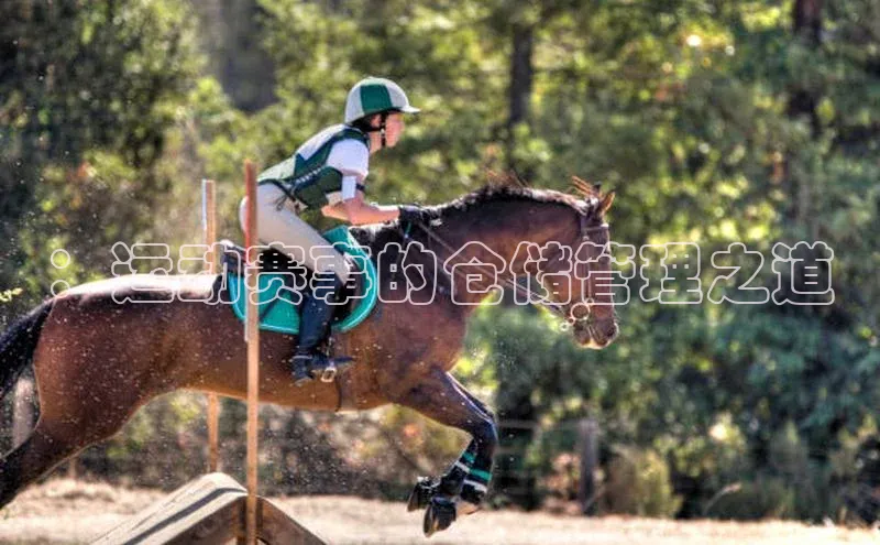 ：运动赛事的仓储管理之道