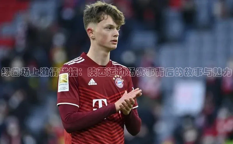 绿茵场上激情碰撞：陕西运动场赛事背后的故事与魅力