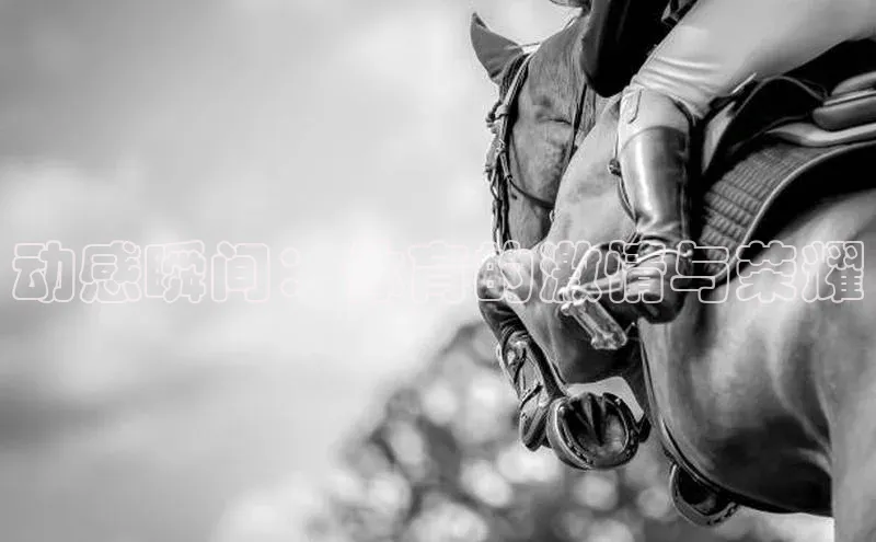 动感瞬间：体育的激情与荣耀