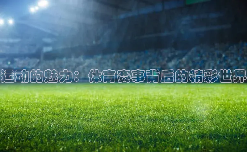 运动的魅力：体育赛事背后的精彩世界