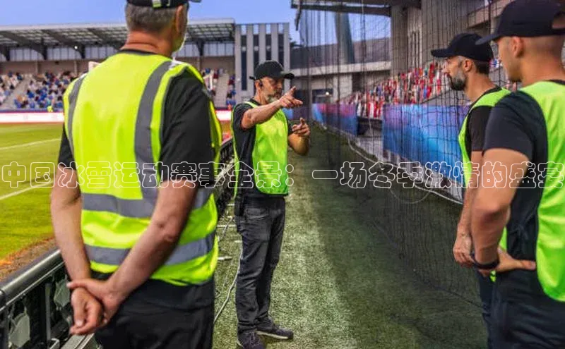 中国冰雪运动赛事全景：一场冬季激情的盛宴