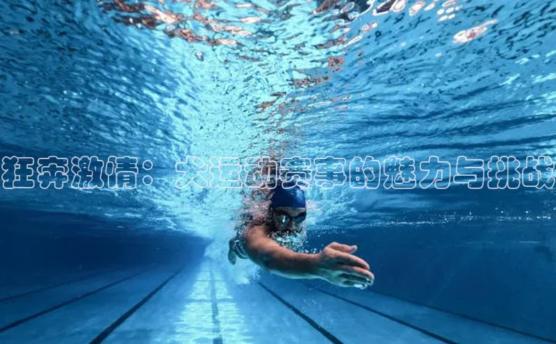 狂奔激情：犬运动赛事的魅力与挑战